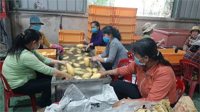 Nỗ lực thực hiện chính sách hỗ trợ của Chính phủ đối với các trường hợp khó khăn do đại dịch (9/5/2022)
